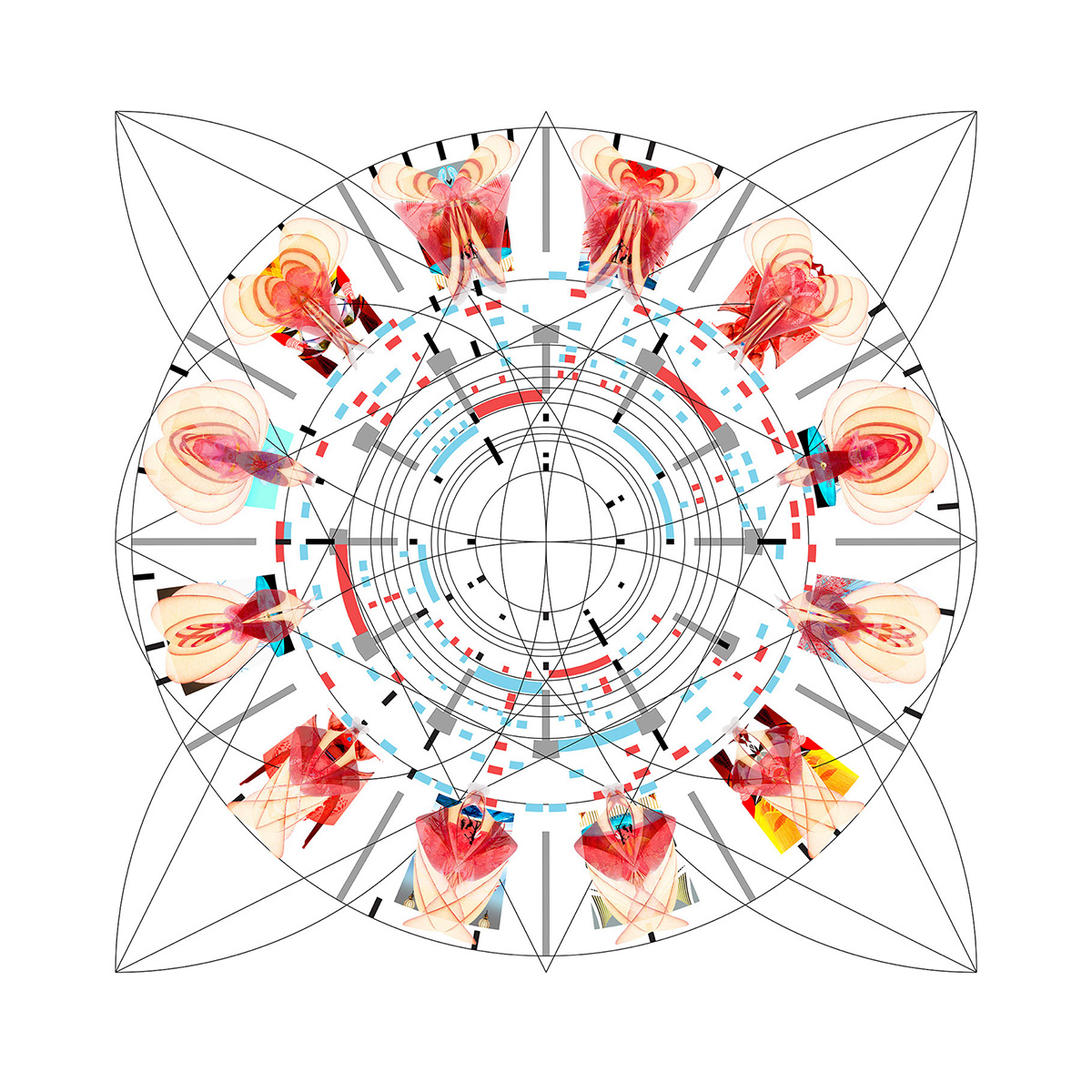 Abstract composition of decayed floorplans and natural fruit elements, representing composting of architectural logic.